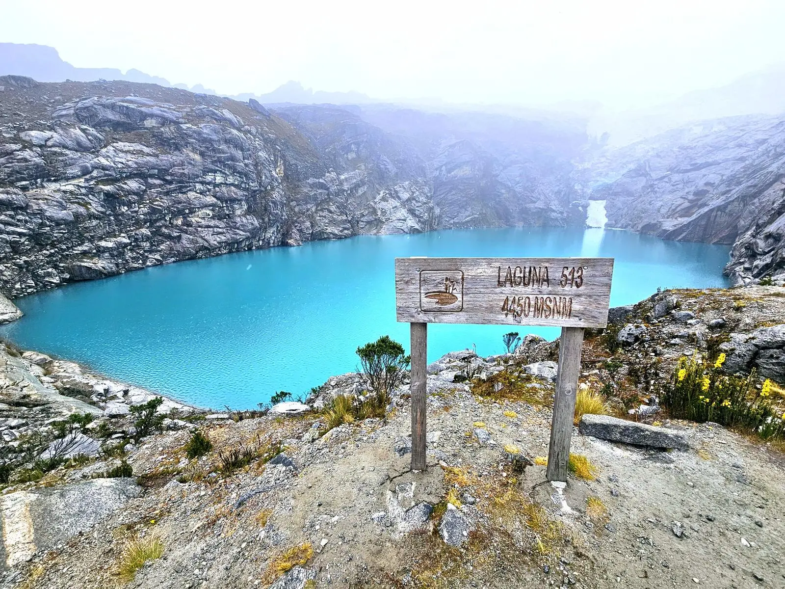 Laguna 513